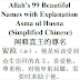 Allah 99 Names Explanation Meaning Chinese | 阐释真主的尊名