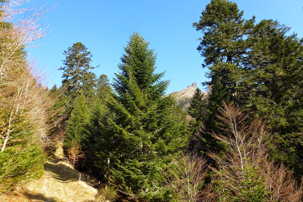 P1000140.JPG