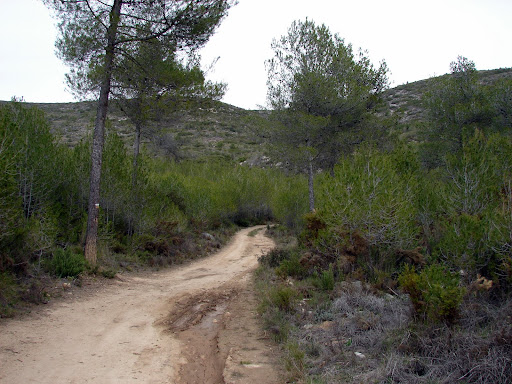 Senderismo: Chulilla - SL-CV 74 - Charco Azul - PR-CV 77 - Cuevas - Frailecillo - Pinturas - Pantano - Ruta de los pantareros - Puentes colgantes