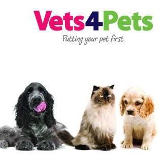 Vets4Pets - Bristol Kingswood logo