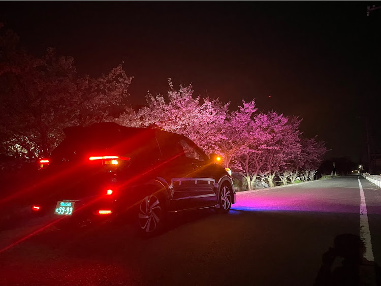 ライズのライズ・岡山・4月もよろしくお願い致します🌸・桜とコラボ・桜に関するカスタム事例の投稿画像1枚目