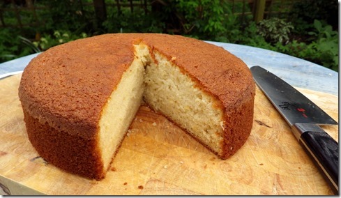 Sweet Wine and Olive Oil Cake