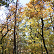 Obrázek: IMG_6369.JPG