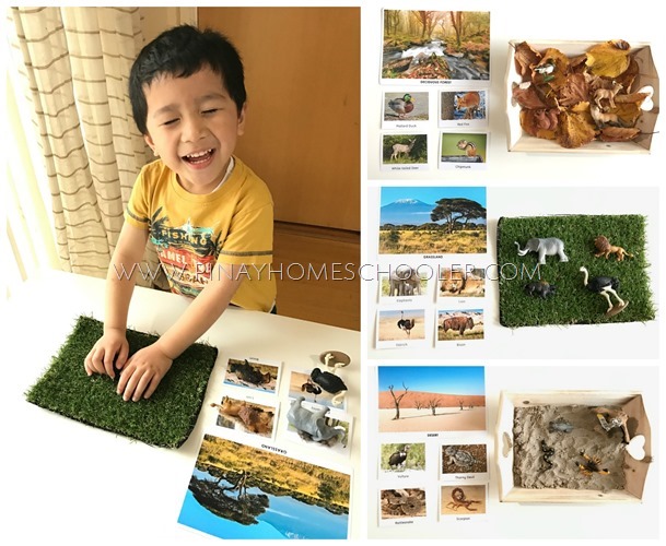 Hands-on Learning on Animal Habitats for Preschool