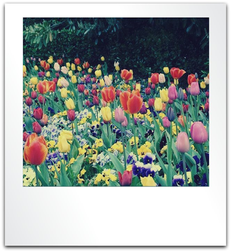 Luiz Sergio de Santana