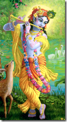 [Lord Krishna]