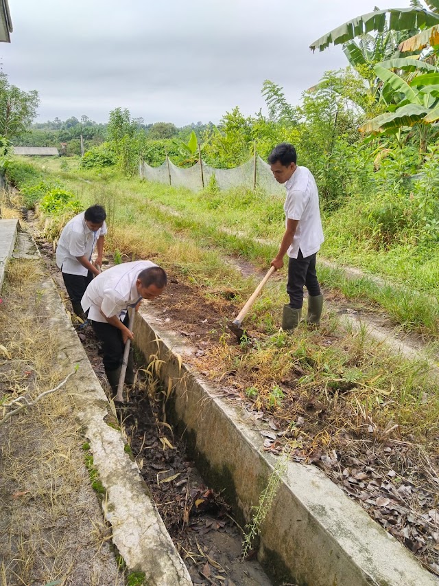 PTPN IV Regional I Kebun Bangun Himbau Karyawan Waspadai Curah Hujan Tinggi