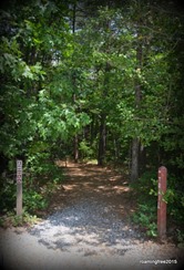 Trail from the Interpretive Center