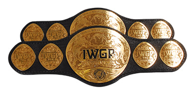 파일:external/www.njpw.co.jp/championbelt_05.jpg