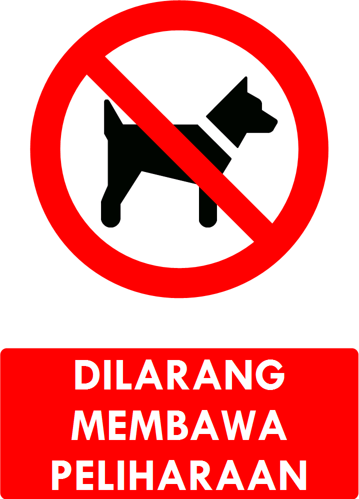 49+ Dilarang Membawa Hewan Peliharaan Kucing, Info Penting!