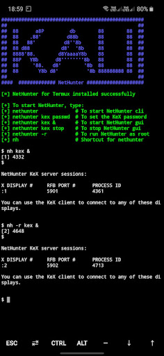 nethunter-terminal.jpg