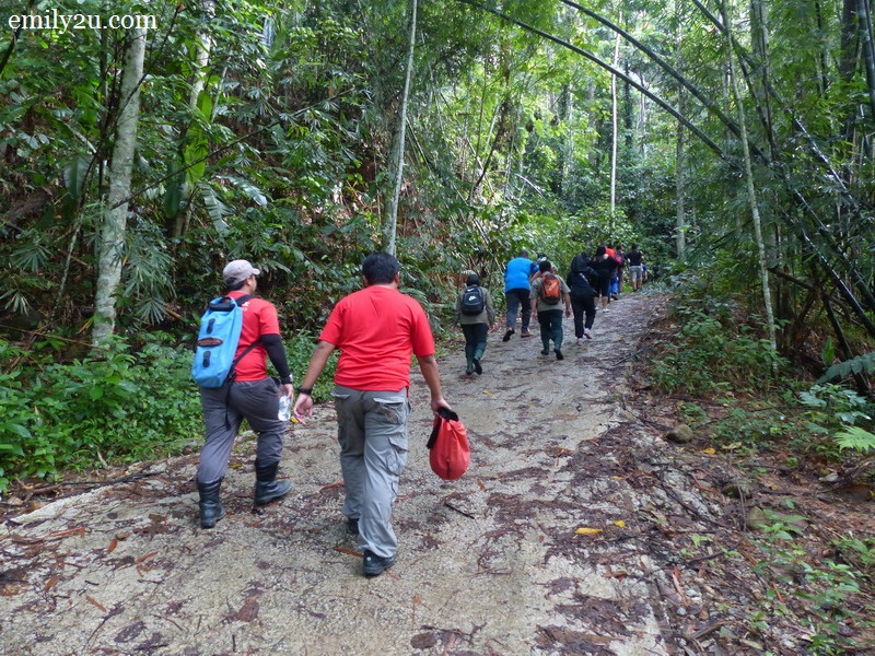 Rekreasi nuang hutan gunung Hutan Lindung