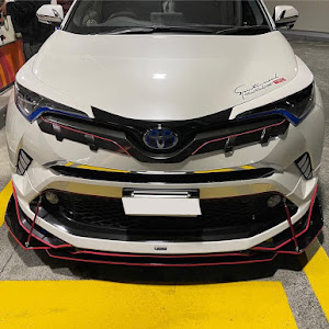 C-HR ZYX10