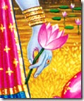 [Vishnu holding flower]