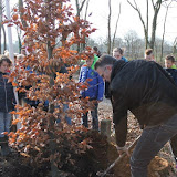 Aalten, Boomfeestdag, Goordijk, 16 maart 2016 017.jpg