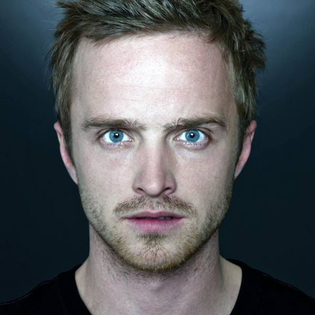 Aaron Paul Profile Pics Dp Images