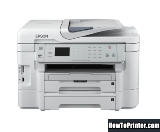 Reset Epson WorkForce WF-3531 printer use Epson Waste Ink Pad Counters resetter