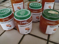 Confiture abricots-vanille