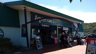 Photos of EcoWorld Aquarium & Wildlife Rehabilitation Centre