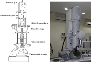 Transmission electron microscope