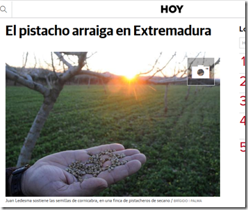 Screenshot-2018-1-29 El pistacho arraiga en Extremadura