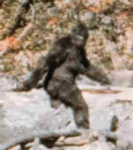 Breaking News Bigfoot Found In North America Confirmation