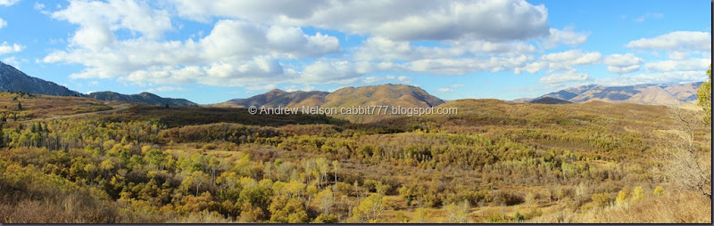 East Fork Overlook