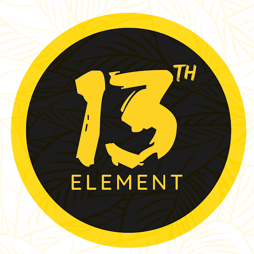 13th Element logo