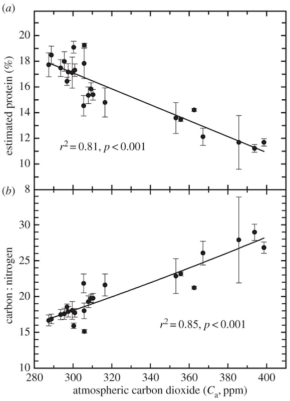 Average and variation (±s.e.) with time (1842–1998) in estimated protein concentration (a) and carbon to nitrogen ratio (b) for historical samples from floral (anthers and pollen) tissue for S. canadensis from the Smithsonian Natural History Museum. Atmospheric CO2 (Ca) for a given set of sample dates were obtained prior to 1960 from [49]; after 1960 using http://www.esrl.noaa.gov/gmd/ccgg/trends/. Each point is the average of approximately 6–40 samples by year from different biogeographic regions within North America. Graphic: Ziska, et al., 2016 / Proceedings of the Royal Society B