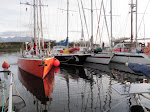 at Puerto Williams , on the Micalvi, with the charter boats ,left to right , Podorange, Polar Wind, Pelagic, Santa Maria Australis.