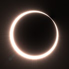 Totality #216