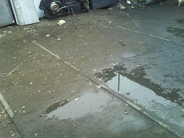 [Image: DSC01963.JPG]