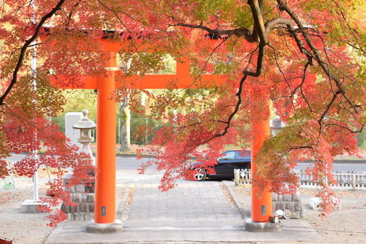 A3 スポーツバックの仙台・アウディのある生活・紅葉・洗車に関するカスタム事例の投稿画像2枚目