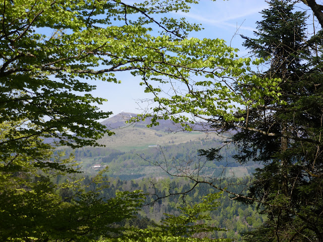 ALSACIA, o  COMO  VIAJAR POR UN MUNDO DE CUENTO, HISTORIA Y LEYENDA - Blogs de Francia - RUTA DE LAS CRESTAS. MUNSTER. GRAND BALLON. EGHISHEIM. RUTA CINCO CASTILLOS (11)