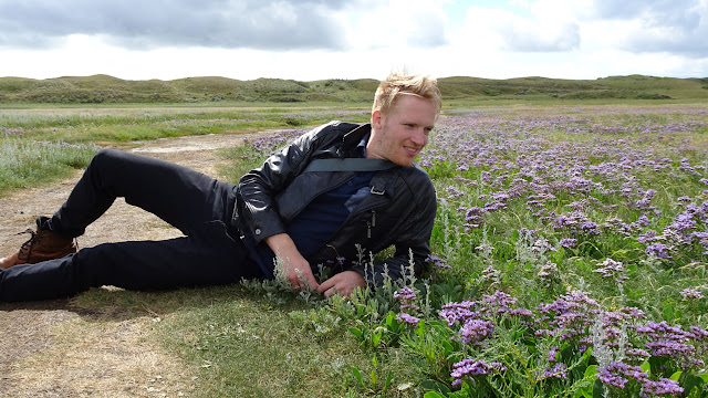 enjoy the purple sea lavenders at De Slufter Nation Park on Texel in Texel, Netherlands 