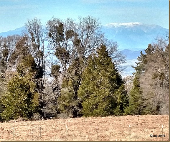 San Bernadion Mountains