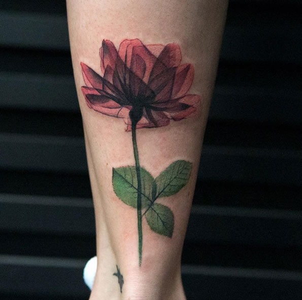 este_colorido_raio-x_rose_tattoo