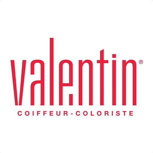 Salon Valentin logo