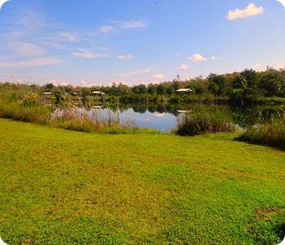 Midway campground