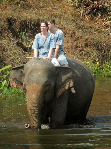 Elephant Camp Panda Tour