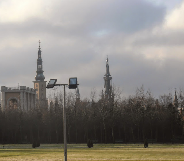 [Image: PC260531.JPG]