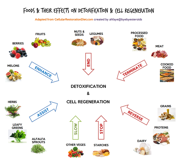 food_detox_cellregen