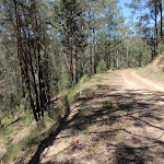 Lower section of Donny's Track (223955)