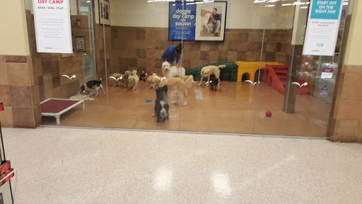 Pet Supply Store «PetSmart», reviews and photos, 2901 Agua Fria Fwy, Phoenix, AZ 85027, USA