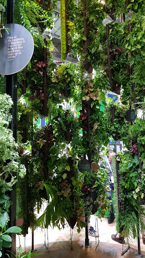 Greenology is known for its vertical greening solutions. A pavilion created on-site with double-sided vertical greening creates a serene, cool private yet open space. Its Greenologix subsidiary offers sensors and drones to help in plant maintenance.