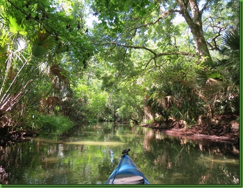 wekiwa rock spring run