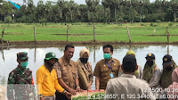 Penyuluh Pertanian Kab.Bone Beri Semangat Petani Percepatan Pengolahan Lahan Sebelum Musim Kemarau