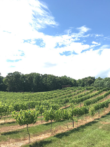 Vineyard «Running Hare Vineyard», reviews and photos, 150 Adelina Rd, Prince Frederick, MD 20678, USA