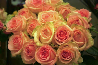 Roses from the flower shop in the Corinthia Hotel in London