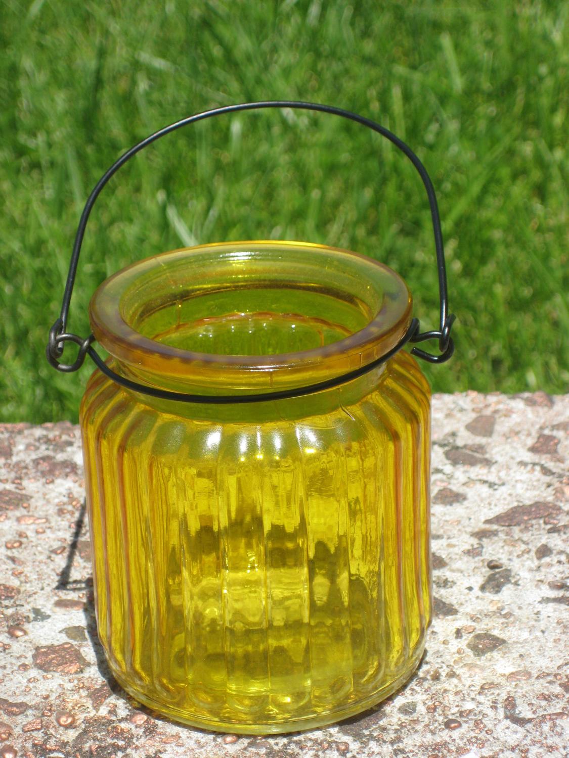 Hanging Glass Mini Mason Jar